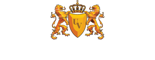 Logo: Uniwersytet VIZJA