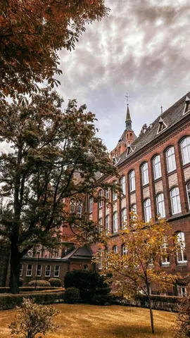Politechnika Śląska