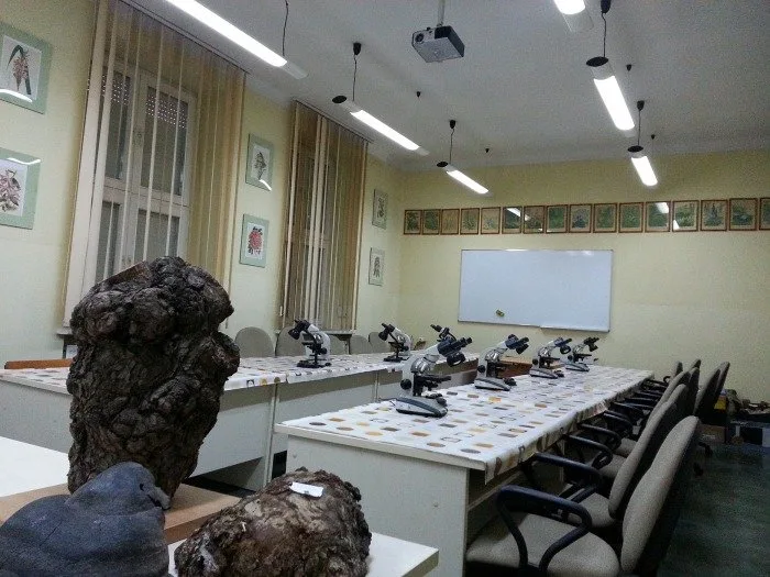 Filia Uniwersytetu Łódzkiego w Tomaszowie Mazowieckim — materiał ilustracyjny