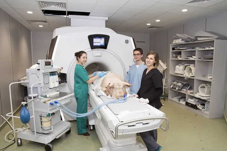 Szkoła Główna Gospodarstwa Wiejskiego w Warszawie SGGW — materiał ilustracyjny