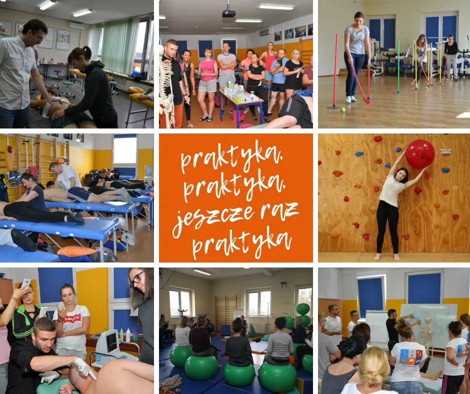 Wyższa Szkoła Edukacji i Terapii — materiał ilustracyjny