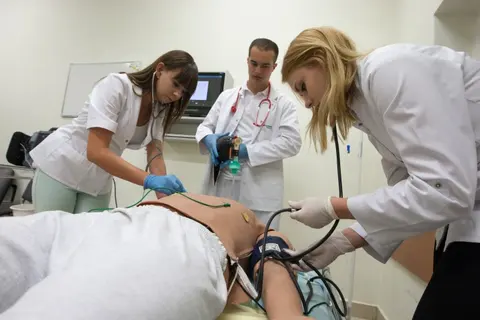 Uniwersytet Jana Kochanowskiego w Kielcach
