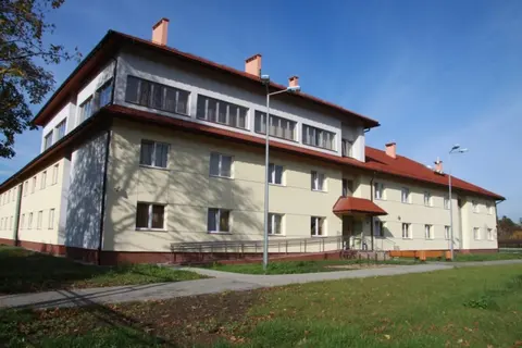 Akademik